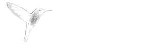 Educadorestradicionales.cl